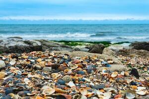 coast of the Caspian Sea with a beach of colorful sea shells in the foreground photo