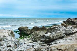 seascape, shore of the Caspian Sea with algae-covered coastal stones photo