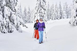 two women hikers of tourists in a winter mountain forest photo