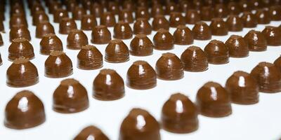 chocolate toppings on the conveyor of a confectionery factory close-up photo
