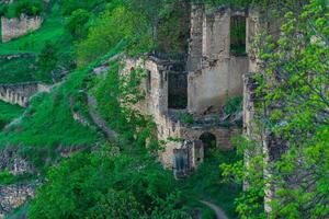 last abandoned houses among the vegetation on the edge of the uninhabited village of Gamsutl in Dagestan photo