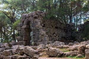 ruins of antique building among the forest in the ancient city of Phaselis photo