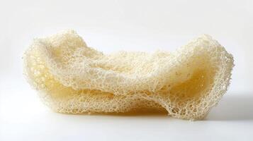 AI generated Loofah on isolated white background. photo