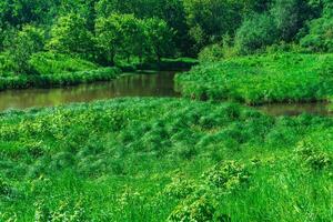 small forest river between banks with fen-meadows photo