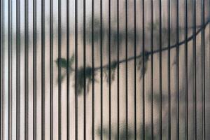 leaves of living trees shine through a semi-dark polycarbonate sheet photo