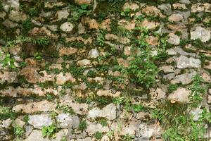 mossy wall made of wild stone photo