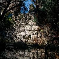 wall of ancient ruins in the jungle by the lake photo