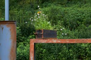 small iron box with wildflowers stands on a rusty iron structure photo