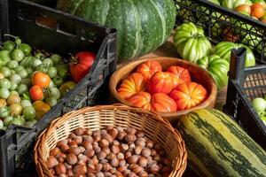 harvest of fresh tomatoes in crates, pumpkin, courgettes and basket with hazelnuts stacked on the floor photo