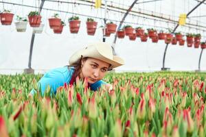 woman florist in a greenhouse inspects growing tulips photo