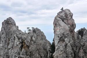 sheer cliffs with sparse trees over the winter sky photo