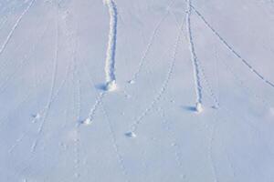 natural background - snowballs rolling down the slope left traces photo