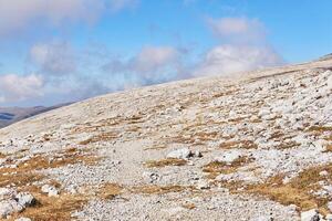 alpine mountain slope covered with white stones photo