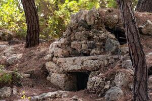 ruins of an antique tomb overgrown with forest photo