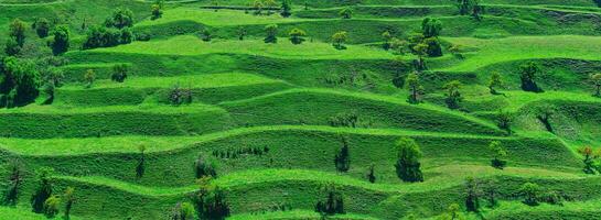 mountain landscape with green terraced hay fields on the slopes photo