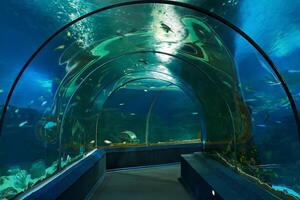 interior of an underwater tunnel in the aquarium photo