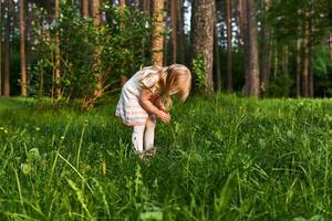 pequeño niña en un bosque claro mira a flores foto