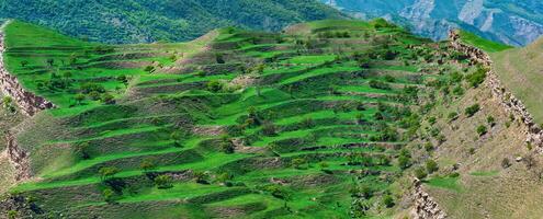 mountain landscape with green terraced hay fields on the slopes photo