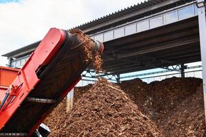 conveyor of industrial woodchipper producing wood chips photo