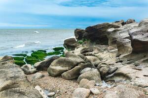 coast of the Caspian Sea with coastal rocks and stones covered with algae photo