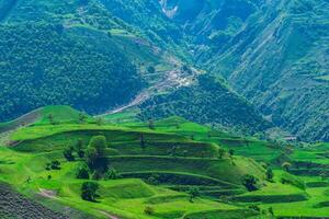 mountain landscape with green terraced hay fields on the slopes photo