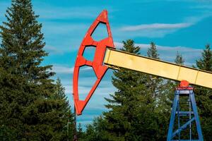 pumpjack element of an oil pumping station among the forest photo