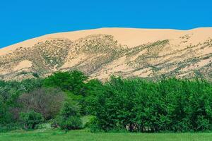 green flowering valley with a large sand dune in the background photo