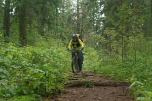 bicicleta turista sube un sendero en un montaña otoño bosque foto