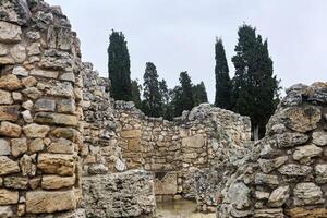 antique ruins - remains of stone walls among cypresses photo