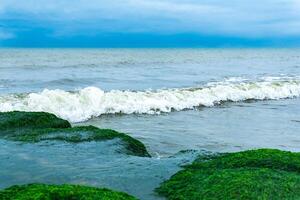 seascape, coast of the Caspian Sea with algae-covered coastal stones photo