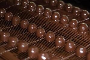 chocolate candies on the conveyor of a confectionery factory close-up photo