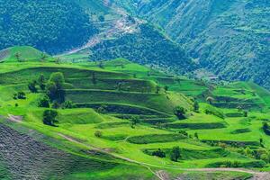 mountain landscape with green agricultural terraces on the slopes photo