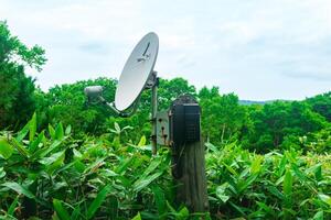 public satellite phone for emergency communication among bamboo thickets in the wilderness in the reserve photo