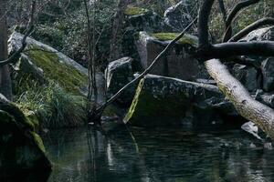 rocoso costa de otoño estanque en paisaje parque foto