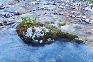 small world is located on a boulder sticking out in the middle of a mountain river photo