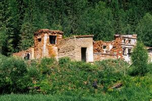 ruins of an old brick industrial building among the forest in the mountains photo