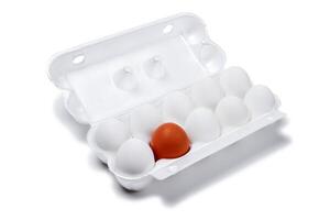 huevo caja con nueve blanco huevos y uno marrón aislado en un blanco antecedentes foto