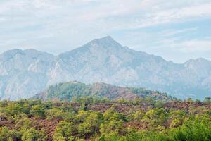 view of Mount Tahtali Lycian Olympus in Turkey, landscape of mediterranean maquis shrubland on a foreground photo