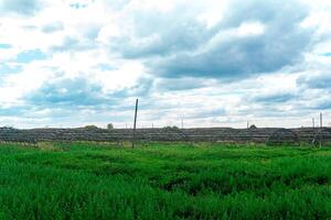 frames of abandoned greenhouses among wild grass, crisis of agricultural production photo