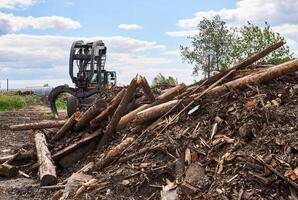 pile of old logs ready for processing and grapple skidder on the background in a woodworking factory photo