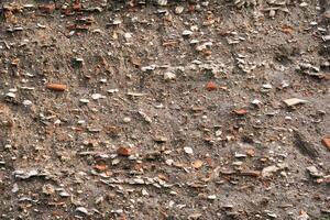 occupation earth - layers of ground with fragments of ancient pottery and shells under the sod layer photo