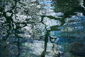 water surface of the pond with sky and branches of leafless trees reflected in it photo