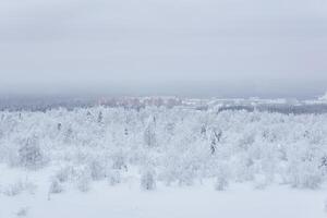 frosty winter landscape - a distant town in a valley in the middle of snowy forests in a frosty haze photo