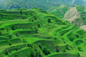 terraced farmland on the mountain slopes in Dagestan photo