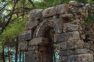 ruins of antique building among the forest in the ancient city of Phaselis photo