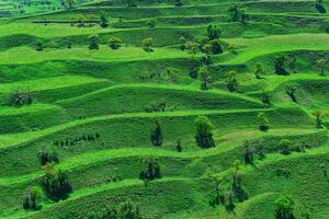 mountain landscape with green terraced hay fields on the slopes photo