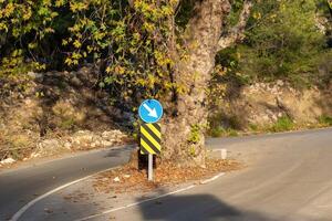 árbol en el medio de el la carretera estaba Preservado cuando el autopista estaba construido foto