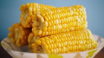 un pocos cabezas de hervido maíz en un plato video