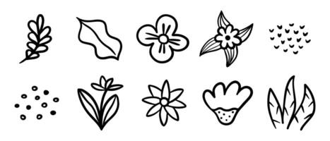 Doodle vector spring set with flowers, floral shapes, leaf, abstract elements. Simple black cute summer set