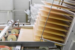 freshly baked wafer sheets move along the conveyor of a confectionery factory photo